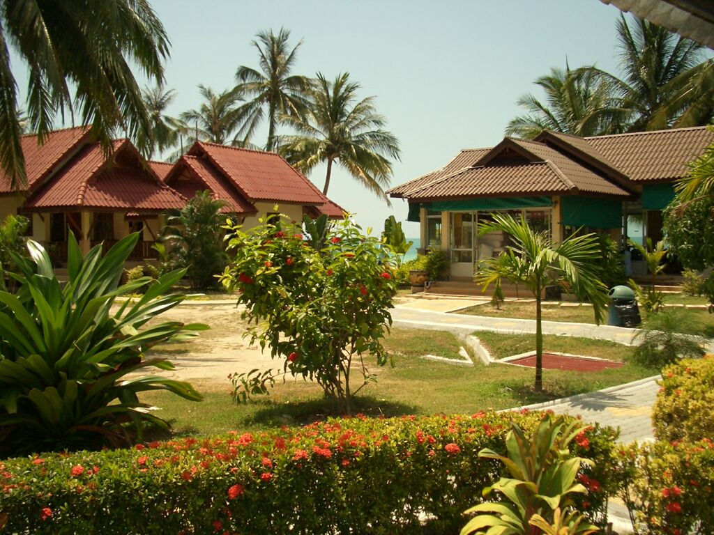 Click to See Next Image